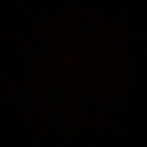 Meet your Posher, Kyla